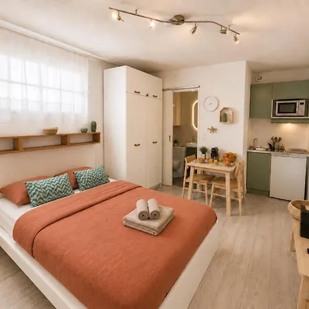 Calme Et Cosy En Hyper Centre Capitole Appartement Toulouse